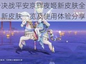 关于决战平安京辉夜姬新皮肤全面解析：新皮肤一览及使用体验分享