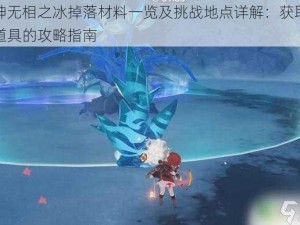 原神无相之冰掉落材料一览及挑战地点详解：获取珍贵道具的攻略指南