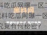 黑料吃瓜网曝一区二区—黑料吃瓜网曝一区二区究竟有何秘密？