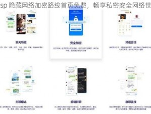 s8sp 隐藏网络加密路线首页免费，畅享私密安全网络世界