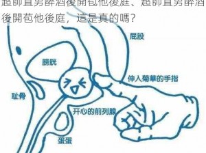 超帥直男醉酒後開苞他後庭、超帥直男醉酒後開苞他後庭，這是真的嗎？