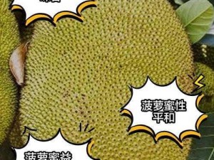 菠萝菠萝蜜在线观看5;如何在线观看菠萝菠萝蜜 5