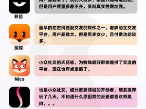 一款专注于提供有趣、轻松内容的轻量级社交应用