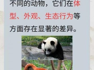 大BBBBB小BBBBBB,如果大 B代表大熊猫，小 B代表小熊猫，那么可以这样提问：大熊猫和小熊猫有什么相同点和不同点？