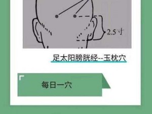 玉枕含珠_探寻玉枕含珠的秘密