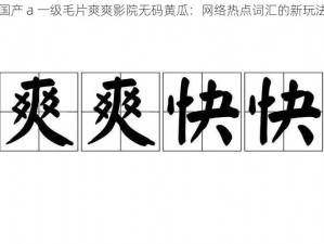 国产 a 一级毛片爽爽影院无码黄瓜：网络热点词汇的新玩法