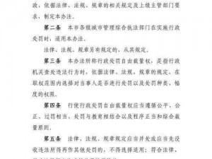 安全隐私惩罚器：保护你的个人信息，让你更自由