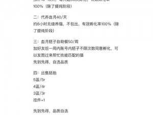 猫之城异常封锁刷新时间与重置机制详解：最新动态及刷新时间解析