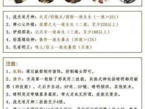 关于阴阳师雨女竞速副本全攻略：高胜率挑战阵容深度解析