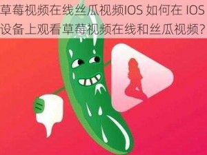 草莓视频在线丝瓜视频IOS 如何在 IOS 设备上观看草莓视频在线和丝瓜视频？