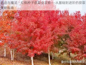 创造与魔法：红枫种子获取全攻略——从基础到进阶的获取策略指南