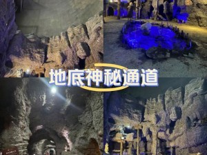 神秘通道入口搜索、神秘通道入口究竟在哪？如何进行搜索？