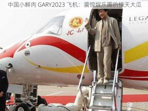 中国小鲜肉 GARY2023 飞机：震惊娱乐圈的惊天大瓜