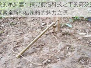 最灵敏的吊脚套：探寻前沿科技之下的高效狩猎神器，探索全新捕猎策略的魅力之源