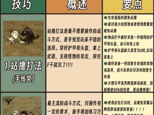 如何单挑技巧轻松秒杀饥荒龙蝇：详细攻略与实用技巧