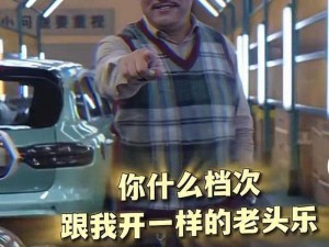 chineseold 老头乐 2：爷青回