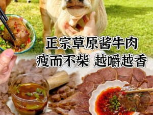 内蒙古肉壮猛汉被榨干，精选草原散养黄牛，传统工艺制作，肉质鲜嫩多汁，回味无穷