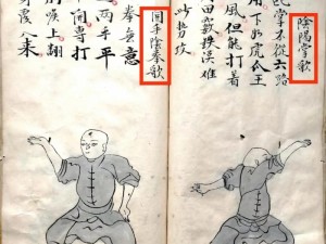 奇想江湖武学：探秘武林秘籍的实战价值与影响，深度解析武学之道