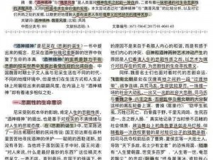 酒神阴阳冕皇宫系统：核心功能解析与运作机制揭秘