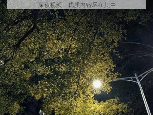 深夜视频，优质内容尽在其中