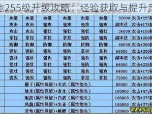 攻城掠地255级升级攻略：经验获取与提升策略详解