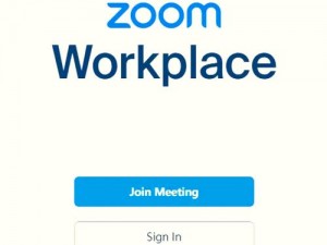 俄罗斯 Zoom 人与 Zoom 牛在用途和功能上没有区别