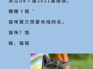 猫咪海外地域永久网名——让你的猫咪成为网络世界的明星