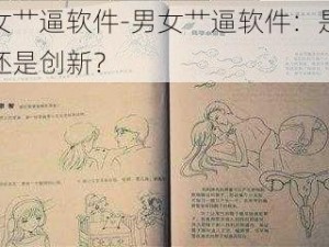 男女艹逼软件-男女艹逼软件：是低俗还是创新？