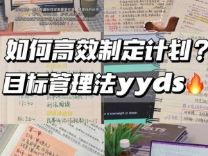 排速推流操作详解：如何实现真正的优化与高效执行