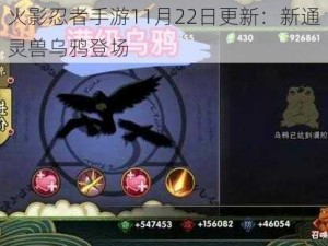 火影忍者手游11月22日更新：新通灵兽乌鸦登场