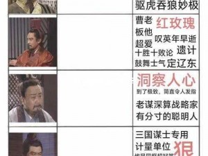 三国奇谋揭秘：智勇谋士争夺天下之截图预览