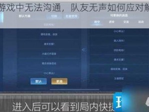 王者游戏中无法沟通，队友无声如何应对解决指南