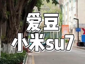 开小米 su7 爱豆传媒，是一款专业的视频播放软件