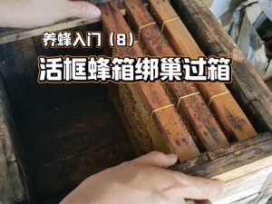 我的世界手机版蜂箱养蜂攻略：蜂箱制作与蜜蜂饲养全解析