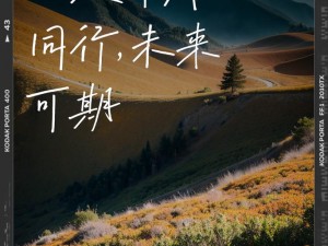 开始慢慢迎接合作，共同开启未来