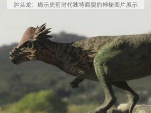 肿头龙：揭示史前时代独特面貌的神秘图片展示