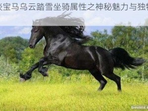 浅谈宝马乌云踏雪坐骑属性之神秘魅力与独特特征