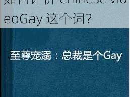 chinesevideoGay、如何评价 Chinese videoGay 这个词？