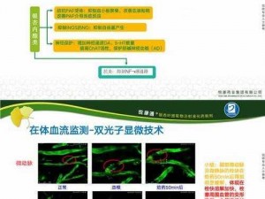 yxsp 银杏官网——优质银杏叶提取物供应商