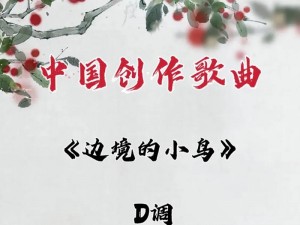 抖音直播原创歌曲分享：中国网直播中的音乐魅力与创作故事分享