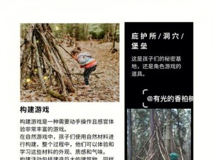 庇护所净化之旅：深度探索庇护所玩法与功能