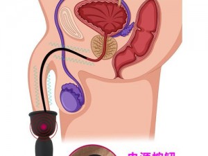 多功能调教尿孔 NP 器具，专业级品质，让你欲罢不能