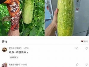 闺蜜扒开我的腿用黄瓜自慰 av，这种情趣用品能够给你带来全新的刺激体验