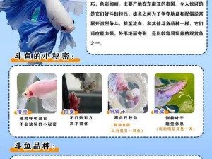 斗鱼幼崽养殖指南：关键养护知识与技巧助你成功培育斗鱼幼苗