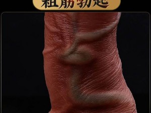 中国老头自慰 Gay 片：带来全新的视觉体验