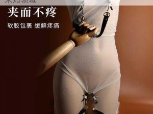 女女拉拉 sm 调教乳夹——极致快感，探索未知领域