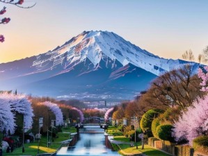 樱花草视频日本：高清画质，精彩内容，让你领略日本之美