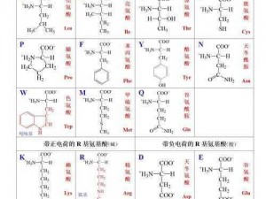 女 free 性 2o2O 体内谢，富含 20 种氨基酸，小分子结构，易吸收