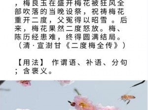 梅开二度哔哩哔哩(如何看待梅开二度哔哩哔哩？)