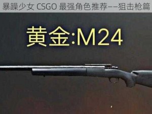 暴躁少女 CSGO 最强角色推荐——狙击枪篇